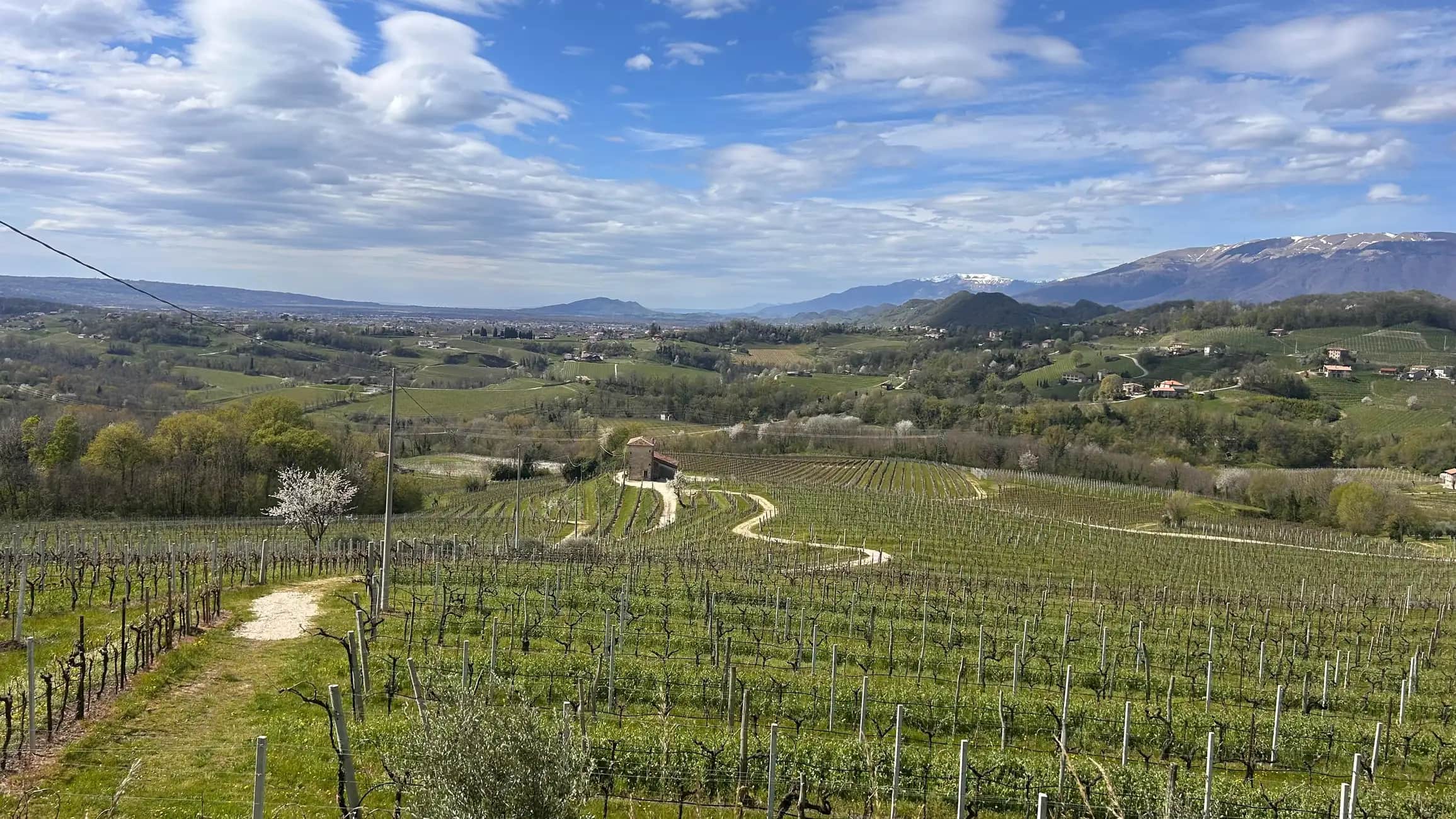 Prosecco hills footage