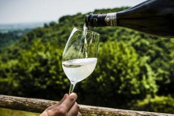From Venice: Prosecco Hills tour with Wine, Spritz and Asolo — photo 3
