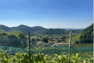 From Venice: Prosecco Hills tour with Wine, Spritz and Asolo — photo 2